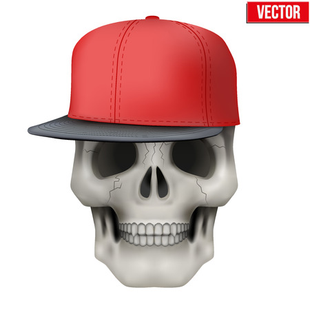 Vector Human skull with rap cap on head. Illustration isolated on backgroundのイラスト素材
