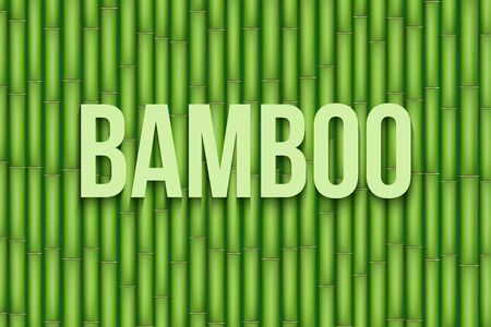 Green Bamboo background. Vector Illustration isolated on white background.のイラスト素材