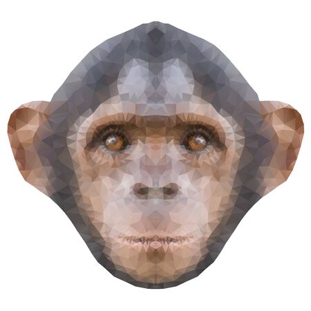 Head of a monkey in triangle style. Symbol of new 2016 year. Triangulation trend Vector Illustration isolated on white backgroundのイラスト素材