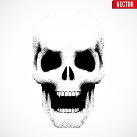 Vector Human skull with open mouth in sketch style. Illustration isolated on backgroundのイラスト素材