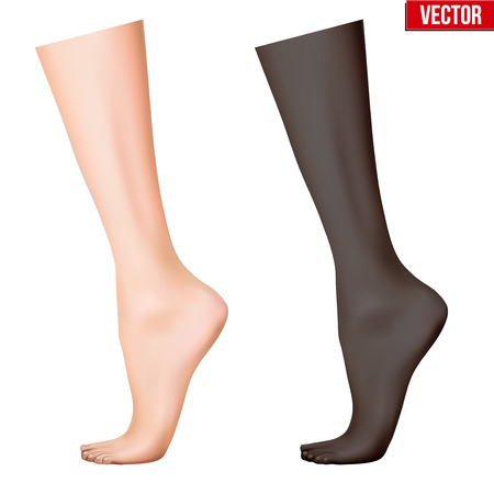 Human legs. Two skin color. Foot on the toe. Vector Illustration isolated on white background.のイラスト素材