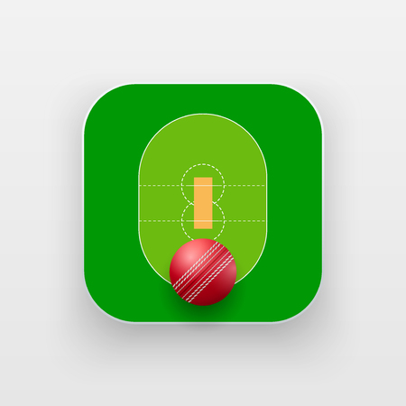 Square icon of cricket sport. Sporting field and ball. Vector Illustration isolated on background.のイラスト素材