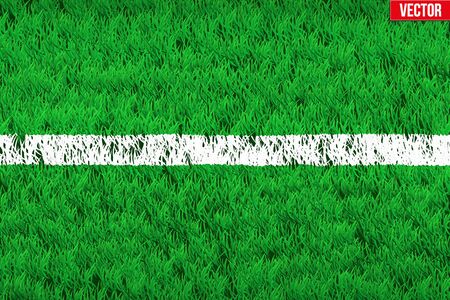 White line on grass field. Closeup For various sport background. Editable Vector illustration Isolated on background.のイラスト素材
