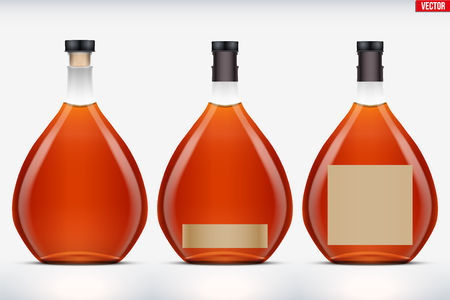 Mockup set of Cognac bottle. Transparent glass. Example bottle for cognac and brandy and whickey beverages. Vector Illustrationのイラスト素材