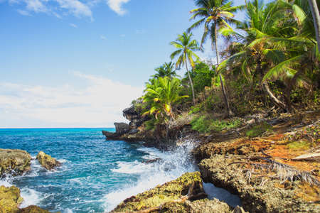 Wild tropical rocky shore, bay, lagoon. Sea Splash, Green palm trees on the rocks. Las Galeras, Samana, Dominican Republicの写真素材