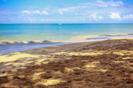Paradise on Earth. Caribbean empty sandy beach.の写真素材