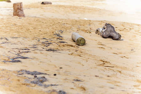 wooden bars on the sand. Sandy beach with seaweed and wooden hemp. Sandy patternの写真素材