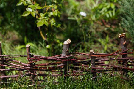 Wattle in the green garden. Small Fence made of weaving thin branchesの写真素材
