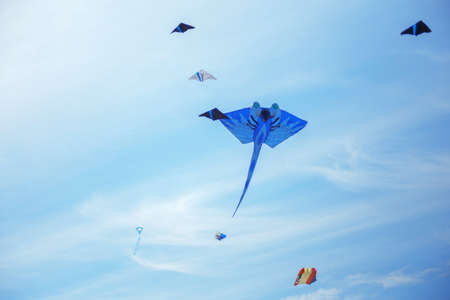 group of kites and blue kite in the sky. Kite festival. Famile eventの写真素材
