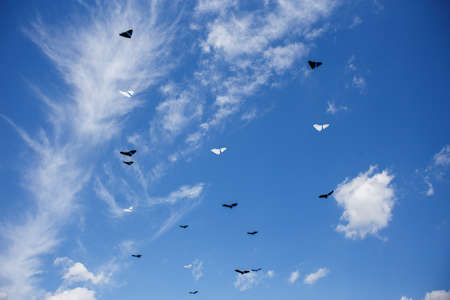 Group of kites flying high in the blue sky. Kite festivalの写真素材