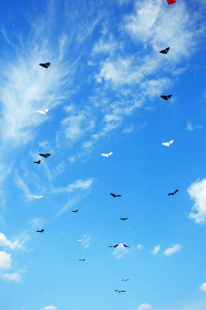 Group of kites flying high in the blue sky. Kite festivalの写真素材