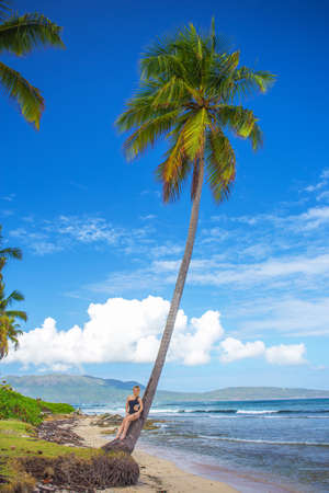 young girl relax on the high palm tree. Tropical landscape, caribbean viewの写真素材