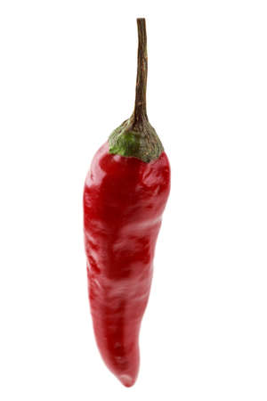 one vertical hot red chili pepper isolated on white background. spicy ingredientの写真素材