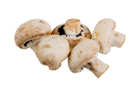 close-up group of five mushrooms Champignons isolated on white backgroundの写真素材