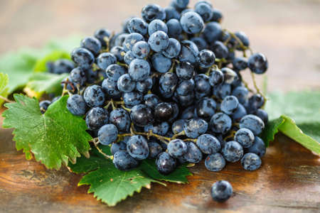 ripe dark blue grapes with green leaves on the wooden surfaceの写真素材