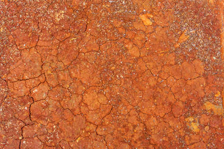 textured background of cracked red soilの写真素材