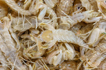 lots of fresh sea shrimp on the counter. selling prawns on the market