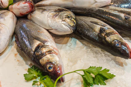selling of fresh fish,  fish on ice with parsley on the counter close up. Gastronomic tourism, see foodの写真素材