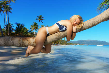 girl hugging palm tree trunk and lies on a palm tree over the sea. Tropical exotic vacation conceptの写真素材