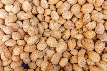 group of almond nuts in peel, natural food background, healthy foodの写真素材