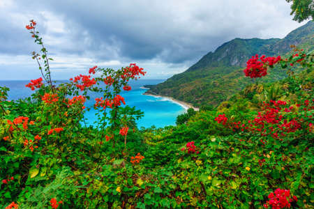 picturesque natural wild landscape with rocky mountains overgrown dense green jungle tree, palm and clear azure water of sea ocean. Dominican Republicの写真素材