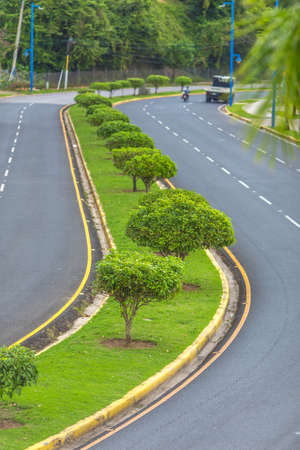 road with a dividing strip of green grass and treesの写真素材