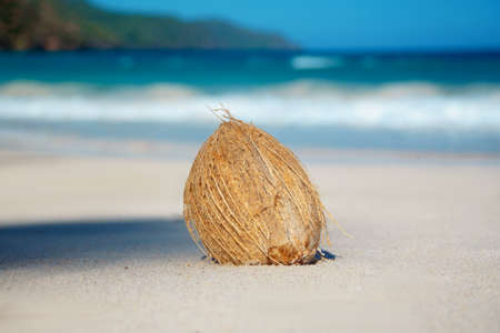 coconut lies on the Atlantic coast