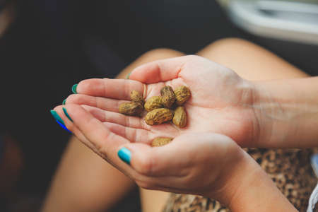 young girl holding peanuts nutsの写真素材
