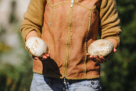 the girl is holding fresh big white mushrooms