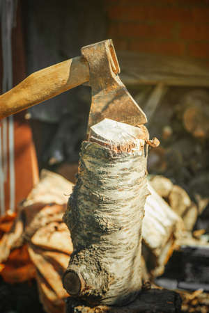 ax in the fruit tree fir in the countrysideの写真素材