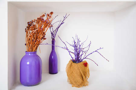 art decor design, dried plants in colored bottles and jarsの写真素材