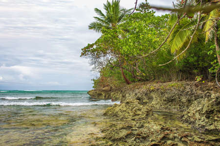Wild tropical shore. South landscape: ocean, palm trees, sky with white clouds. Samana, Dominican...