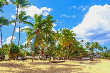 Ideal place for vacation. Tropical sandy beach with a tilted palm tree