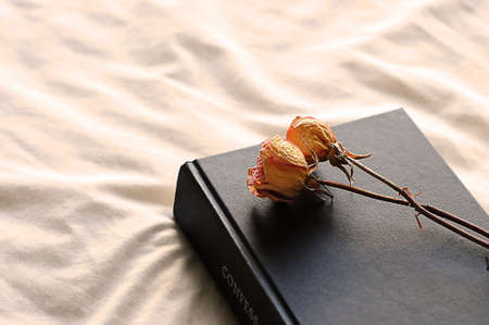 romantic flowers on a bookの写真素材