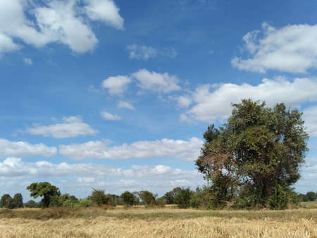 Bright blue sky and clouds floating in the sky.の写真素材