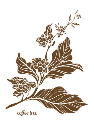 Branch of coffee tree with leaves, flowers and natural coffee beans. Botanical contour drawing.のイラスト素材