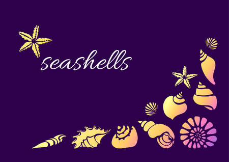 Template of of seashells. Vector shape. Starfish, shell, conch, spiral, helix. Undersea world. Place for text.のイラスト素材