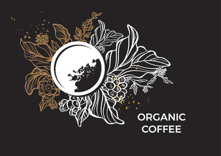 Template of branch of coffee tree, leaves, flowers and beans. Botanical drawing on black background. Floral decor for organic product. Vector illustration for print, menu, background. Space for textのイラスト素材