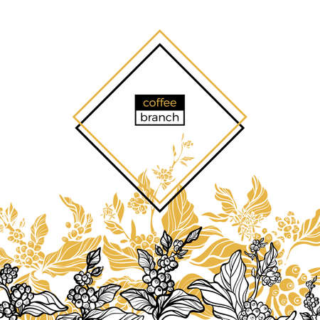 Trendy template. Coffee branches with leaves, flowers and natural coffee beans. Design. Black and white, gold. Copy space. Vector illustration in rhombus Eps.10のイラスト素材