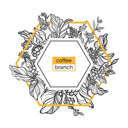 Trendy template. Coffee branches with leaves, flowers and natural coffee beans. Design. Black and white, gold. Copy space. Vector illustration in icosahedron Eps.10のイラスト素材