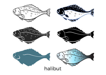 Set of sea fish on white background. Halibut. Vector shape. Seafood, sketch, silhouette. Illustration isolated and grouped for easy editing  eps.10のイラスト素材