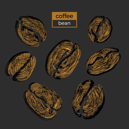 Set of different golden coffee beans on black background. Organic product. Vector color illustration. Collection. Sketch eps.10のイラスト素材