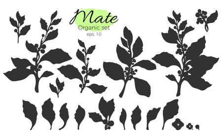 Vector collection of black silhouette branches. Shape set of leaves and flowers. Art of nature on white background.のイラスト素材