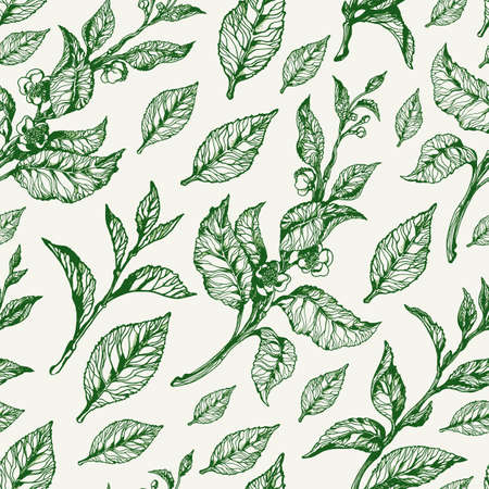 Vector seamless nature pattern. Vintage floral illustration with leaf and flowers. Botanical classic sketch. Green background.のイラスト素材