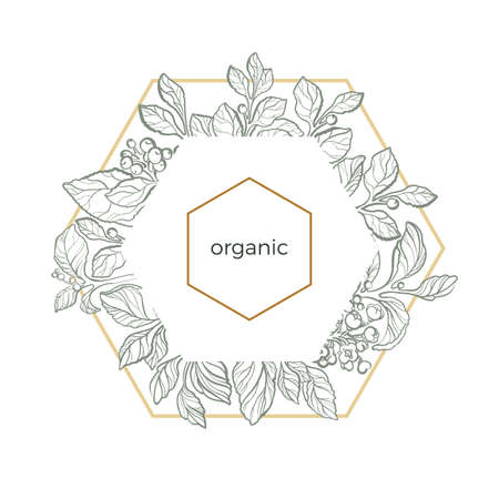 Vector template of set mate branches in sexangle on white background. Nature illustration with realistic leaves, berry and flowers. Botanical drawing design. Organic product.のイラスト素材