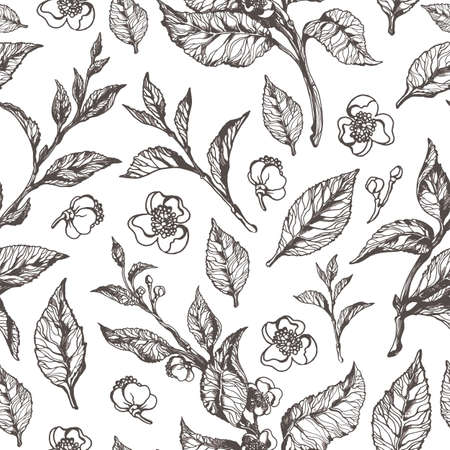 Vector floral seamless pattern. Nature illustration with various leaves and flowers. Botanical classic black sketch in vintage style on white background. Tea bush. Organic food eps.10のイラスト素材