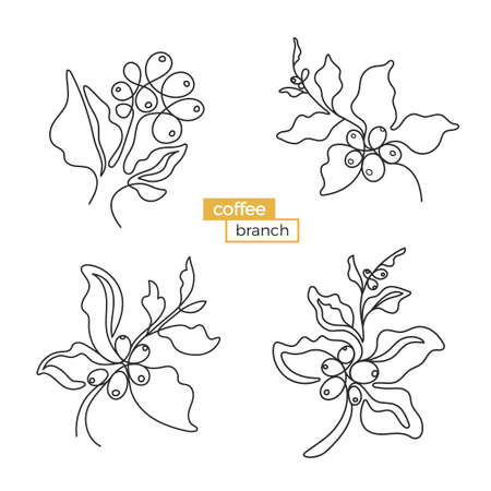 Set of coffee tree branches. Black art sketch of leaf, natural bean on white background Organic food. Simply silhouette, doodle shape Eco drink One line drawing vector icon, logo, symbol, illustrationのイラスト素材