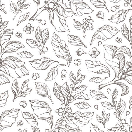 Vector seamless pattern of hand drawn mate branch illustration. Realistic vintage set with leaf, flower, berry. Floral retro sketch on white background. Botanical organic food. Natural tea backgroundのイラスト素材
