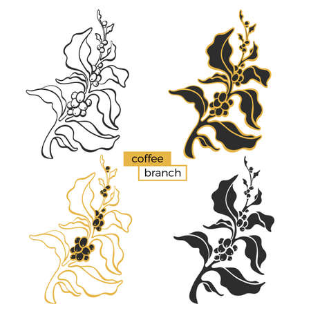 Vector set of branch of coffee tree with leaf and natural bean, grain on white background. Organic tropical food. Art line silhouette, botanical shape. Nature collection. Symbol of fresh black drink.のイラスト素材