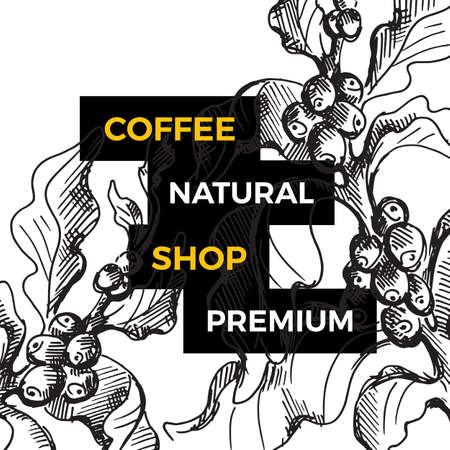 Vector coffee tree branch, leaf, bean. Art botanical hand drawn template on white background. Organic aroma food, drink Trendy decorative sketch design for bio shop label, card, banner, board, packingのイラスト素材